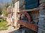 Immagine 12