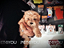 Immagine 21