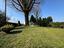 Immagine 25