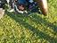 Immagine 5
