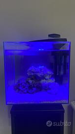 Acquario Newa 30