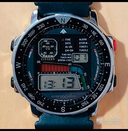 CITIZEN Windsurfing D060