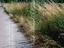 Immagine 10
