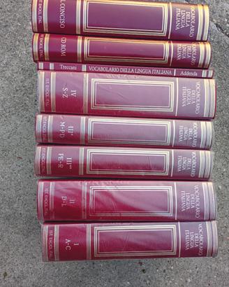 Vocabolario della lingua italiana, Treccani 
