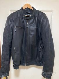 GIACCA H-D REFLECTIVE SKULL