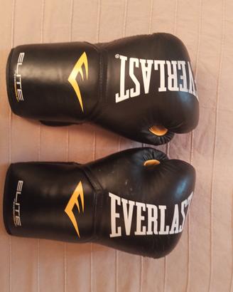 guantoni da boxe/kickboxe usati everlast 14 oz