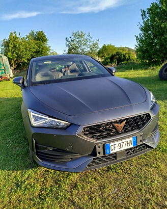 Cupra Leon e Hybrid 245 cv