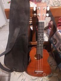 2 UKULELE ASHTON UKE 100 E BUGS GEAR ORIGINALI