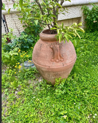 ANTICOePREGIATOgrandeORCIOvasoTERRACOTTAconMANICI