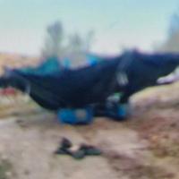Utilissima macchina raccogli olive