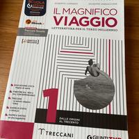 Il magnifico viaggio 1