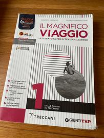 Il magnifico viaggio 1