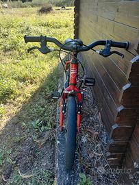 bicicletta 16 pollici