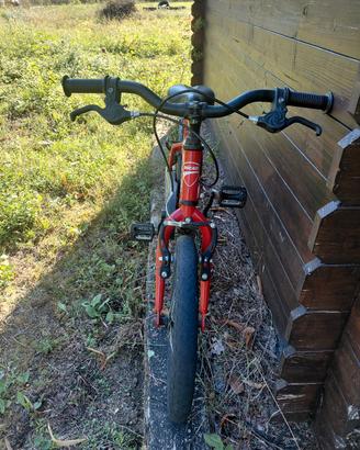 bicicletta 16 pollici