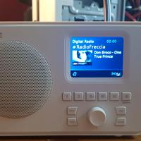 Pure Elan One radio DAB+ portatile con Bluetooth 5