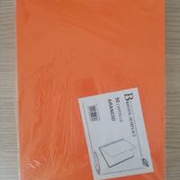 50 cartelline arancio bristol