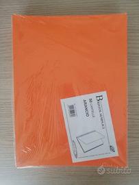 50 cartelline arancio bristol