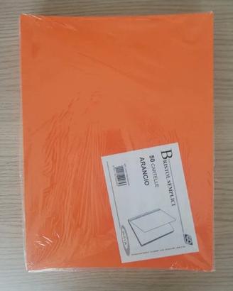 50 cartelline arancio bristol