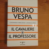 Bruno Vespa, Il Cavaliere E Il Professore
