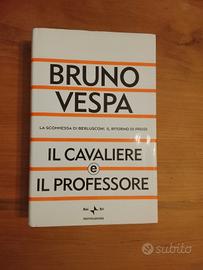 Bruno Vespa, Il Cavaliere E Il Professore