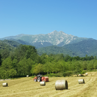 Fieno di montagna 2025