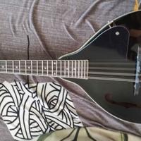 mandolino + custodia + accordatore 