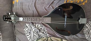 mandolino + custodia + accordatore 
