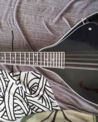 mandolino + custodia + accordatore 