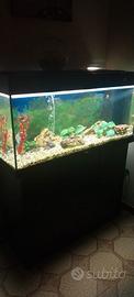 Acquario + mobile