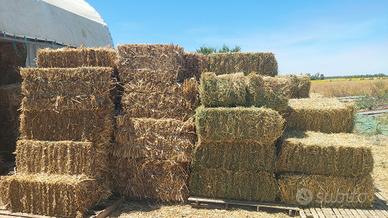 foraggio ed erba medica 