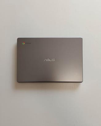 Computer portatile ASUS chromebook C223