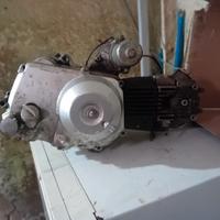 motore pit bike automatico 