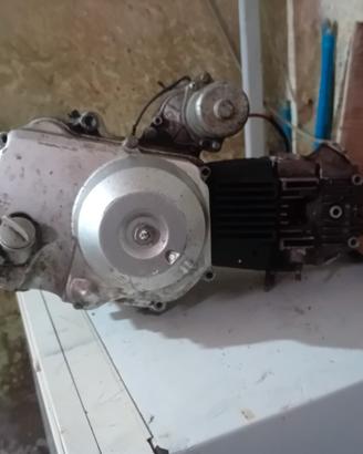 motore pit bike automatico 