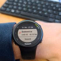 garmin forerunner 45