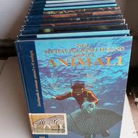 Inciclopedia di scienze naturali e di ecologia! 
