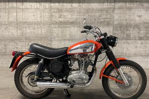Ducati scrambler 350 1970