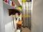 Immagine 28