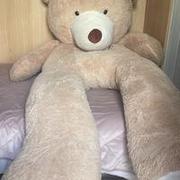 Orso gigante in peluche