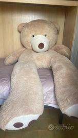 Orso gigante in peluche