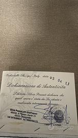 Collezione silvia pozzati con garanzia