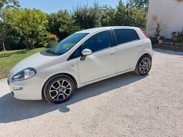 Fiat punto ok neopatentati