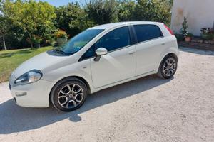 Fiat punto ok neopatentati