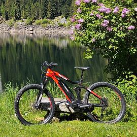 Ebike