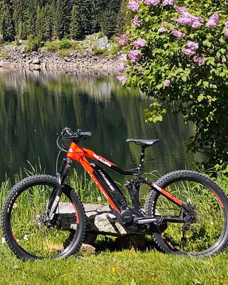 Ebike