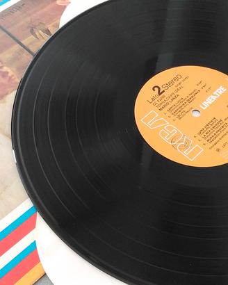 dischi in vinile 33 giri lunga durata vintage