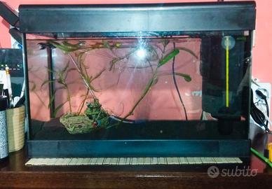 ACQUARIO 26 LITRI