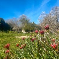 Indipendente casetta ideale per il weekend