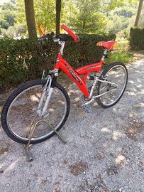 Bicicletta Mountain bike 