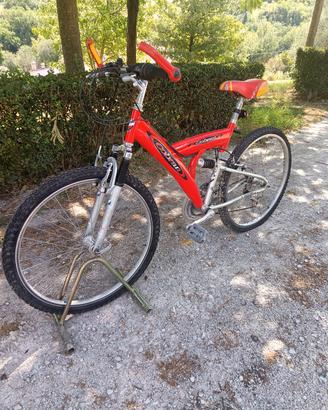 Bicicletta Mountain bike 