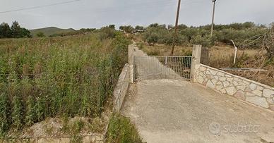 Terreno panoramico edificabile Catena con accesso